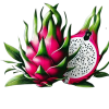 pytaia_logo-removebg-preview